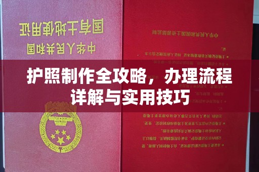 长丰护照制作全攻略，办理流程详解与实用技巧