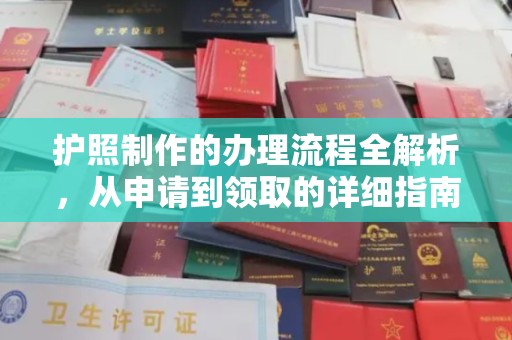 长丰护照制作的办理流程全解析，从申请到领取的详细指南