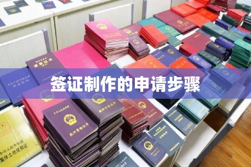 长丰签证制作的申请步骤