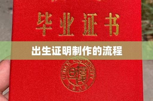 长丰出生证明制作的流程