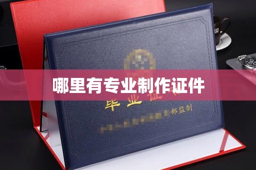 长丰哪里有专业制作证件