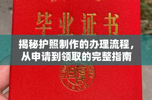 长丰揭秘护照制作的办理流程，从申请到领取的完整指南