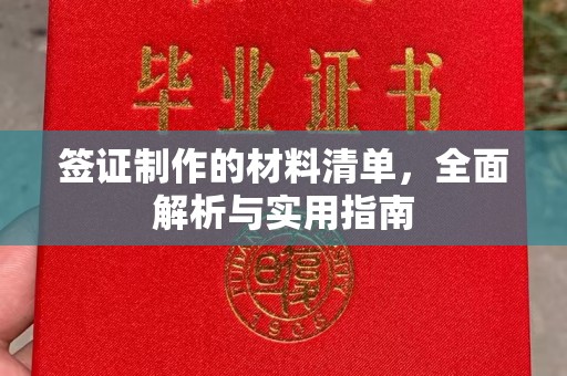 长丰签证制作的材料清单，全面解析与实用指南