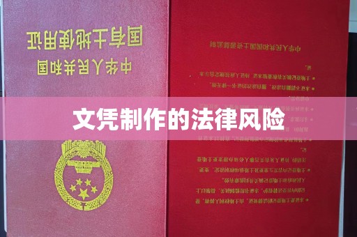 长丰文凭制作的法律风险