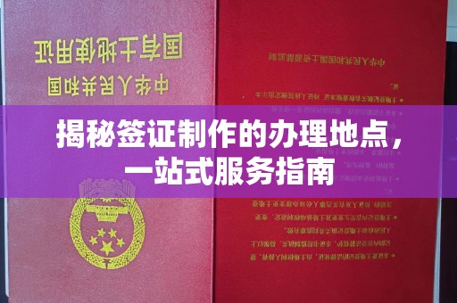 长丰揭秘签证制作的办理地点，一站式服务指南
