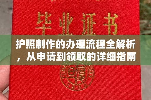 长丰护照制作的办理流程全解析，从申请到领取的详细指南